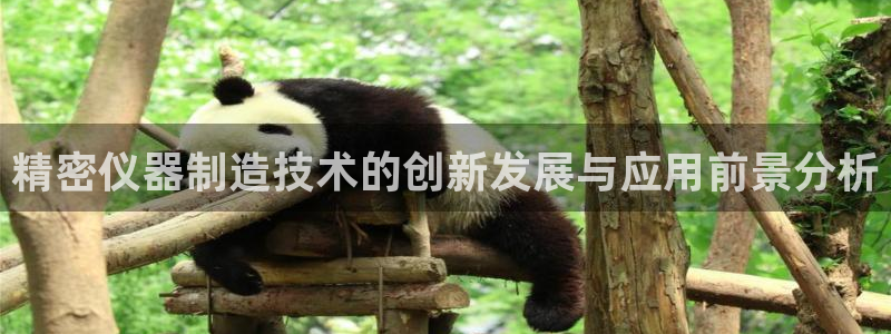 云顶手游国际服账号：精密仪器制造技术的创新发展与应用前景分析