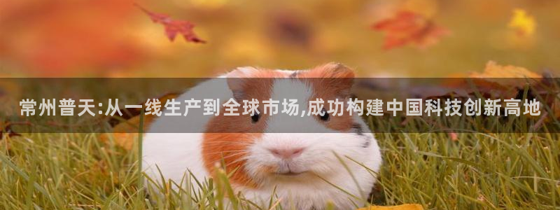 太原云顶国际酒店桑拿几楼：常州普天:从一线生产到全球市场,成