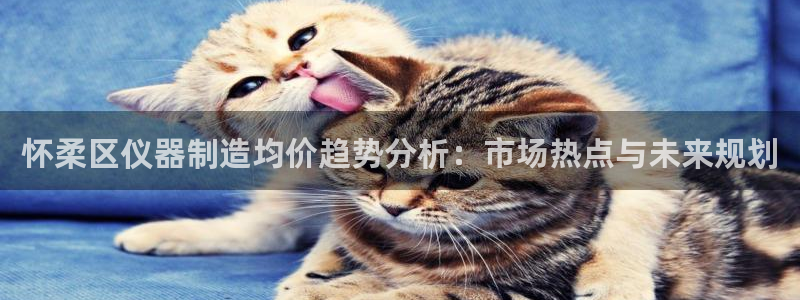 云顶国际服s11：怀柔区仪器制造均价趋势分析：市场热点与未来