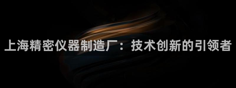 yd云顶集团app下载：上海精密仪器制造厂：技术创新的引领者