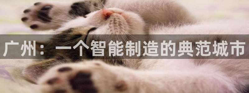 云顶国际是正规平台吗：广州：一个智能制造的典范城市